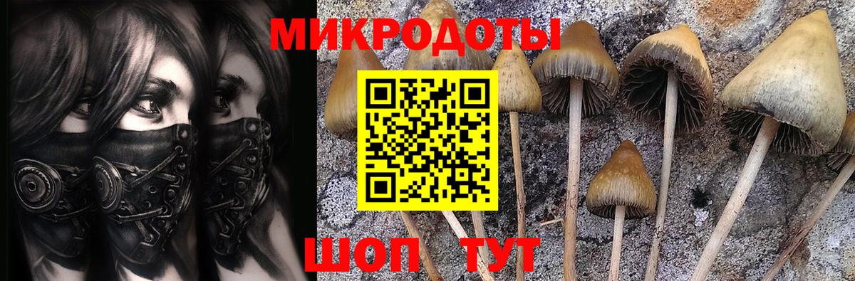 Псилоцибиновые грибы мухоморы  Псилоцибиновые грибы Magic Shrooms  дарнет шоп  Сергиев Посад  Вход с VPN 
