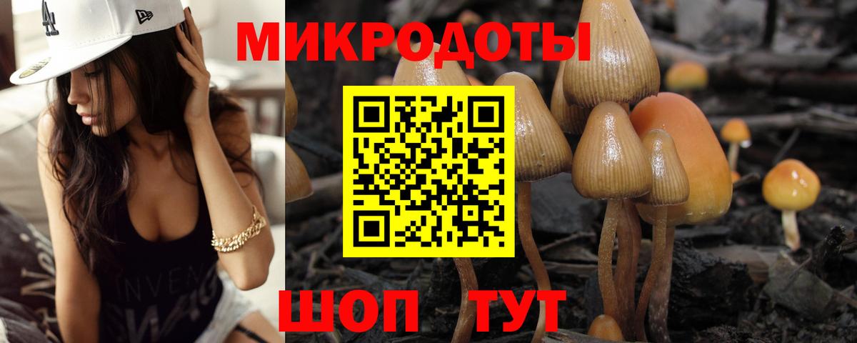 Галлюциногенные грибы Psilocybine cubensis Сергиев Посад